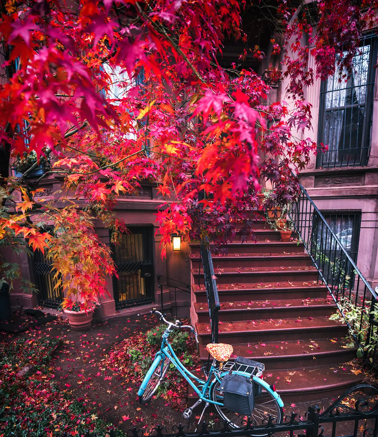 Autumn In Ny