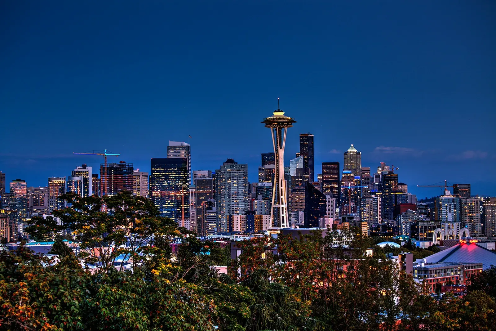 Seattle skyline and the Space Needle at night